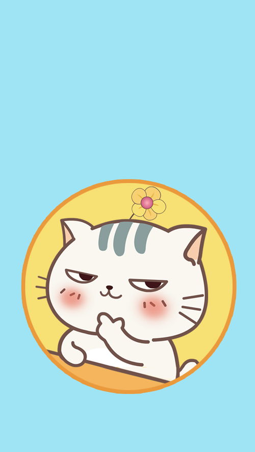 1微信表情小贱猫土豆君壁纸