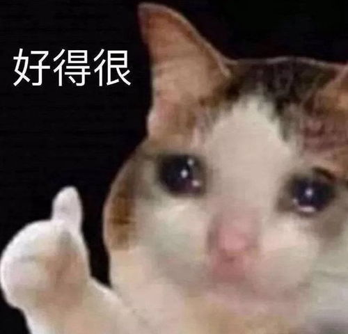 儿子收入下滑老人连划十几辆车替他出气,儿子