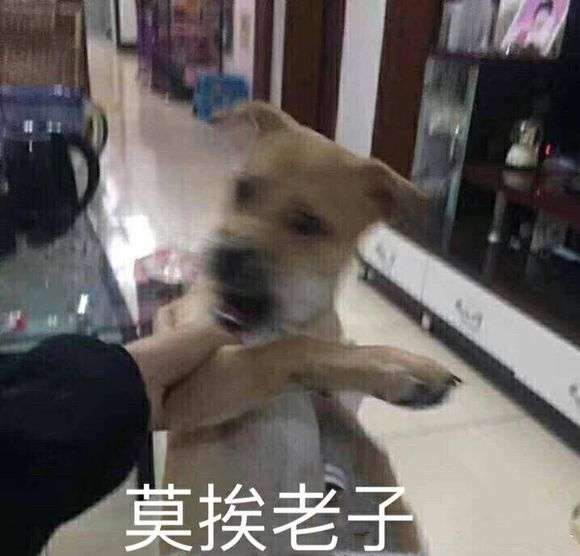 夜场营销求订台表情包罗熙