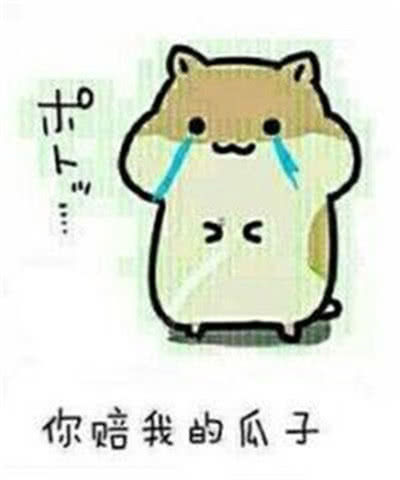 表情可爱小仓鼠表情包你赔我的瓜子腾讯网qq.com表情