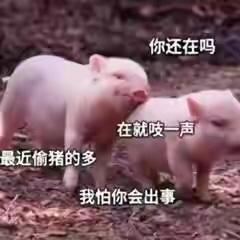 有什么让别人秒回的表情包
