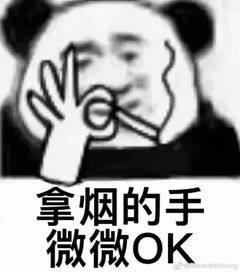终于盼来了南宁人即将可坐动车去机场,与飞机无缝换乘