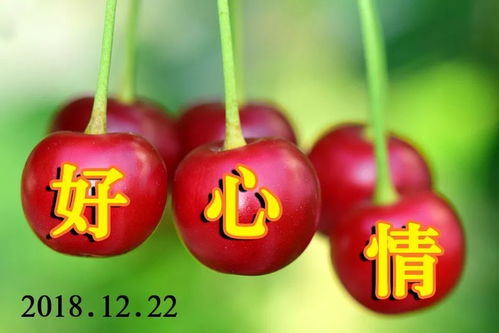 优雅的早晨祝福语图片早上好会动的表情合集