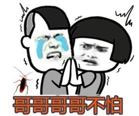 小哥哥你爱不爱我我好吃图片表情包小哥哥网恋嘛表情包下载乐游网游戏下载