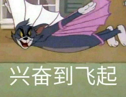 在来了解电脑品牌