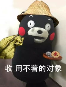 圣诞将至收对象,换盆