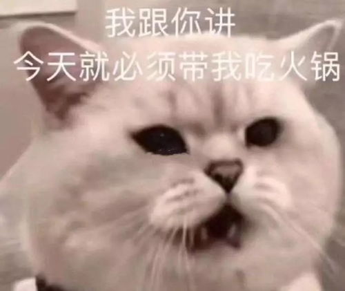 求求你们不要在小区后门偷偷见面了哈哈哈哈哈太难了