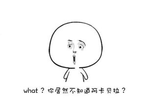 包含了两种不同感觉的音乐,分分钟唤起你成长的回忆