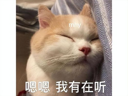 疯狂的原神玩家,在线点餐的必胜客服务器被挤爆,客服崩溃了