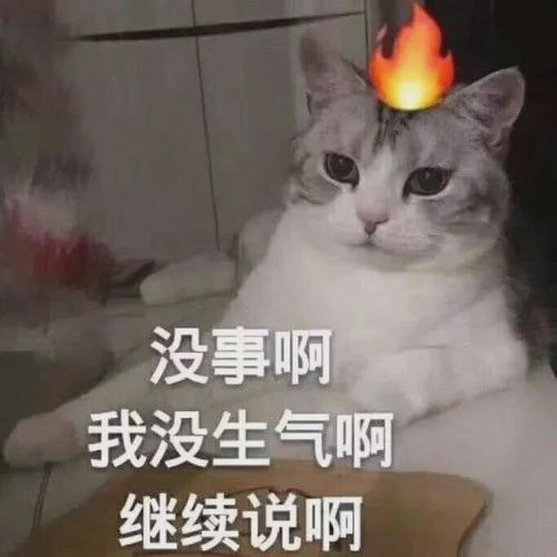 作为命理师,偶尔也是想揍几个客户出出气的六爻风水命理学网易订阅