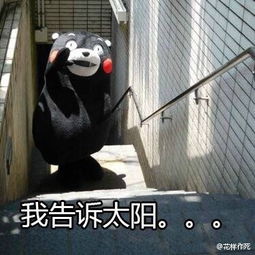 劝皇上雨露均沾的宋小宝其实是个深沉boy