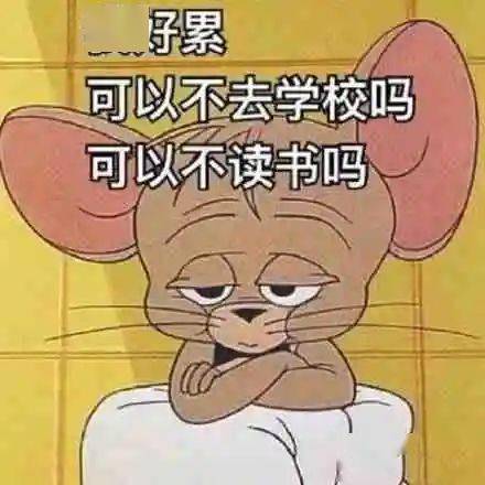 雪城每日课堂叮这份人类高质量开学宝典请收好