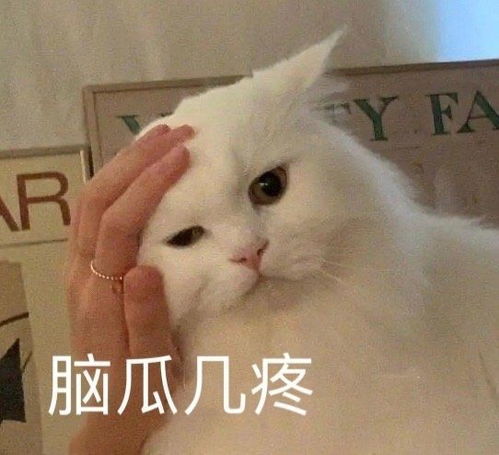 文案凡尔赛文学