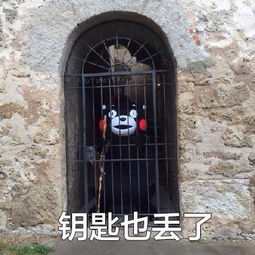 撒娇表情包我不管,我必须去你家睡