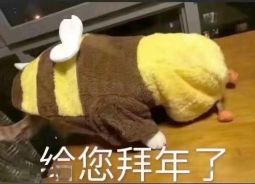 广西司法行政人的第二波新春祝福来了