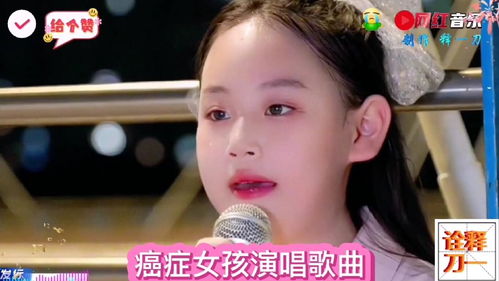 网红音乐的头条主页今日头条