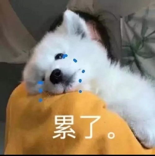 如何让女生开心