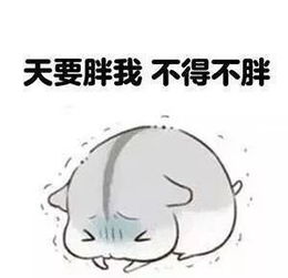 每次想大开吃戒的时候,我就这样安慰自己