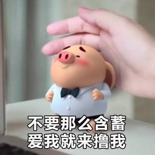 表情包虽然我抽烟喝酒混夜店但我仍然是一只好猪