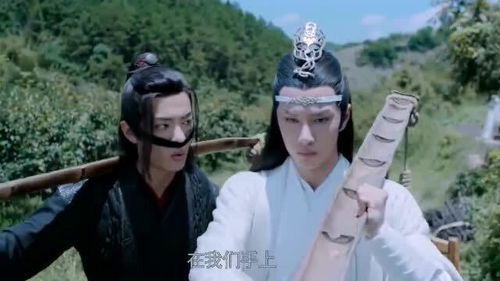 蓝忘机挑粪也这么帅魏婴去撩他,金子轩那小表情没眼看没眼看