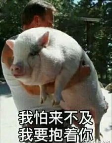 那些支撑我活下去的表情包