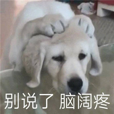 趣味聊天表情合集把我的笋还给我