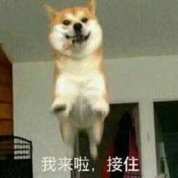 抱抱的表情包可爱的