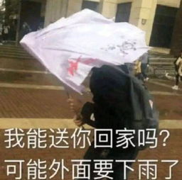 我就知道这大雨天天津肯定有出来划船的快来看哏儿都人民多快乐