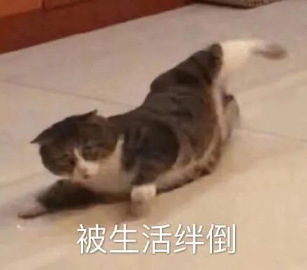 亚马逊欲在搜索结果页给vc卖家加购物车按钮第三方卖家夺笋啊