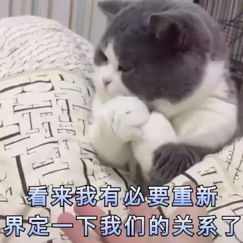 窒息四位数买的贵妇面霜,被我爸当雪花膏给抹了...