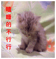 一大波小猫咪表情包萌萌哒动态图