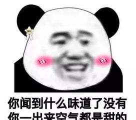 斗图表情包自从收藏了这些表情包之后,斗图从没有输过