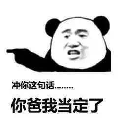 表情包丨我求求你了,新的一年脱单吧