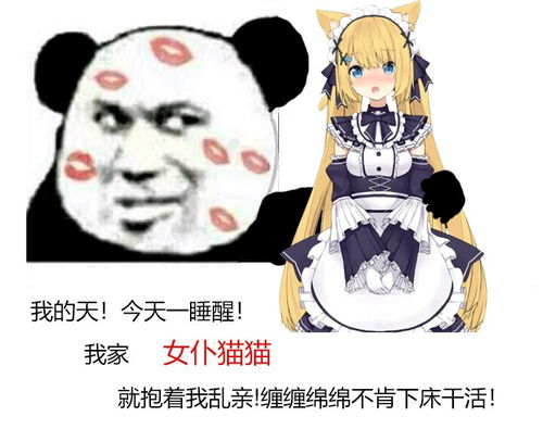 花园猫表情包第三期