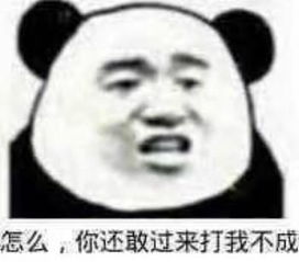 熊猫头斗图表情包怎么,你还敢过来打我不成