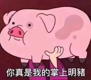 非洲猪瘟疫是怎么一回事今天来聊聊猪肉该怎么挑怎么吃
