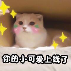 超级可爱的萌宠表情包,宠控一定会喜欢