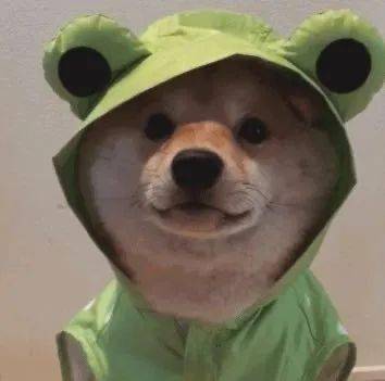 滴滴滴小舜帮你拿快递啦