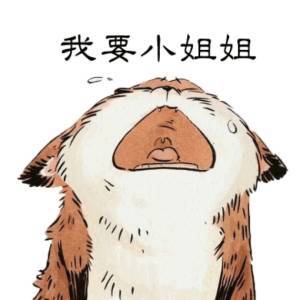 photoshop从入门到放弃不存在的