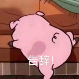 笑出猪叫大牌猪年限定款,求求你们放过猪吧...