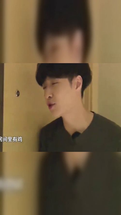 极限挑战张艺兴房间有鸡,孙红雷瞬间想歪,表情尴尬