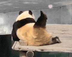 有没有超极可爱的表情包