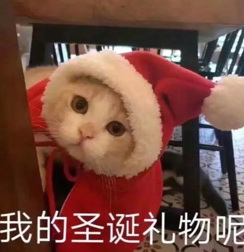 一眼被迷晕,这是真实存在的美貌吗