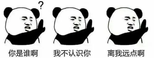 年度表情包汇总你想要的表情包都在这儿了