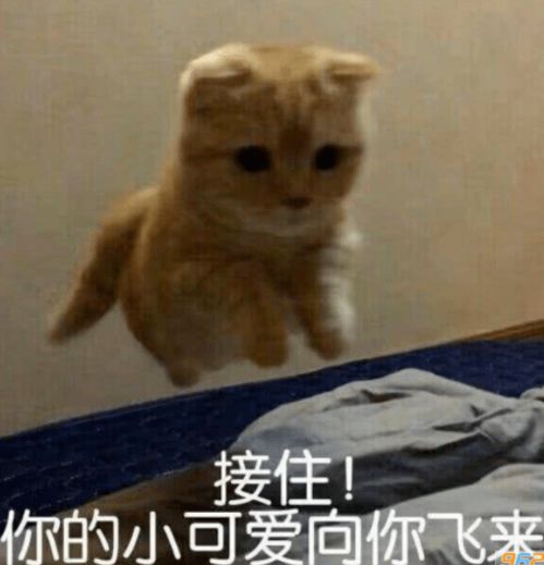 新时装曝光制芰荷以为衣,集芙蓉以为裳