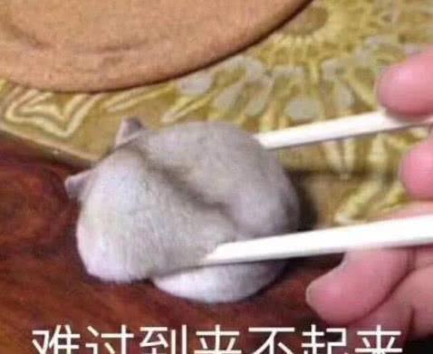 超火的搞笑表情包作为一个靓仔,早已习惯孤独