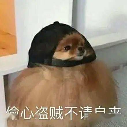 速领丨它带着海南高考地理真题高清版向你走来了