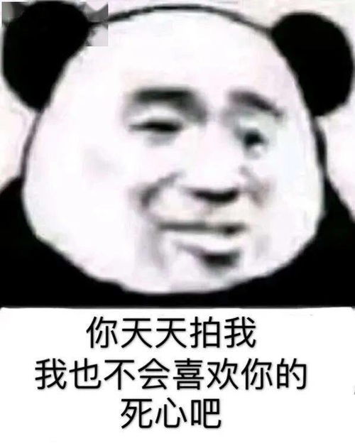 不服来打我呀表情包拍一拍