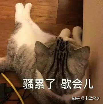 除了80000还有那些污歌