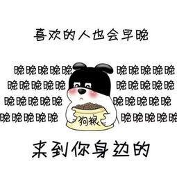 在大学里,比挂科还绝望的几件事